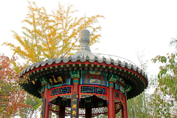 Obraz premium Chinese traditional landscape architecture in a park, china