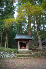 Fototapeta na wymiar shrine in the yamanashi japan
