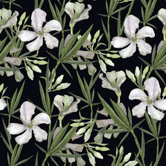 Wedding  set of rhododendron white spring flower