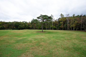 grass field in yamanashi japan