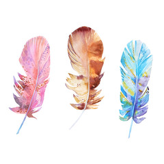 set of watercolor feathers