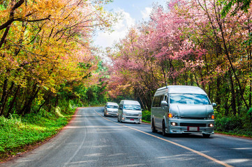 Obraz premium Doi Ang Khang Chiang Mai Thailand