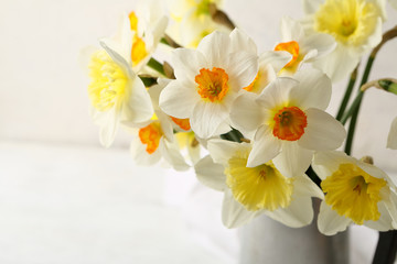 White and yellow spring flowers
