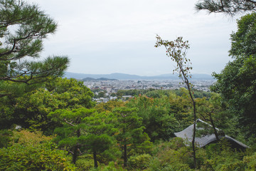 landscape in the kyoto japan