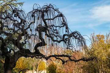 Saint-Miter park in Aix-en-Provence
