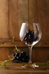 Fresh grapes in winery glass
