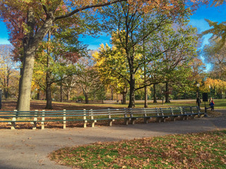 an autumn afternoon on park bench