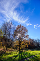 Beautiful forest landscape with amazing clouds, Armenia