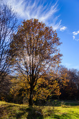 Fototapeta premium Beautiful forest landscape with amazing clouds, Armenia