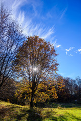 Beautiful forest landscape with amazing clouds, Armenia