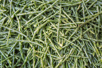 A full frame photograph looking down on a pile of samphire, for sale on a market stall