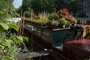 Fototapeta na wymiar Il giardino sulla barca