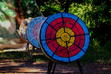 archery target with arrows