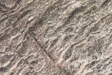 Greyish White Natural Rough Sandstone Surface Texture