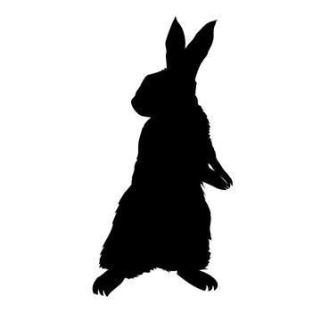 rabbit silhouette - vector illustration