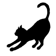 Black cat silhouette isolated on white background.