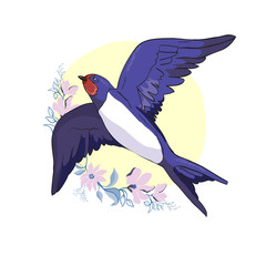Swallow vector, vector illustration isolated bird, bird flying, bird silhouette, bird vector.