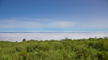 Fototapeta na wymiar Mar de nubes subiendo al Teide, carretera TF-21