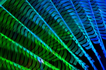 Fototapeta premium Abstract picture of lights in motion for background use