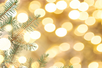 Christmas or New Year background. Green branch of the Xmas tree on a golden background.