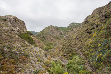 Barranco de Chamorga, Tenerife