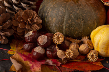 Fall background image with pumpkins and conkers on autumn leaves 