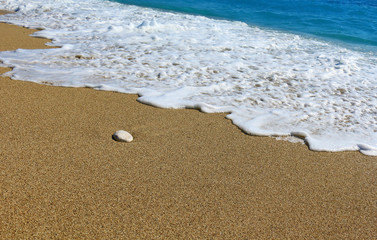 Idyllic tropical sand beach