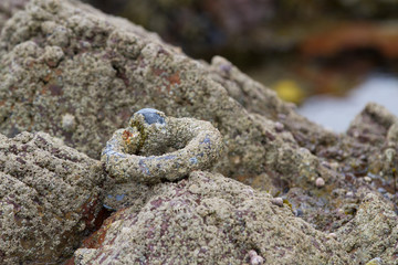 Eroded sea mooring