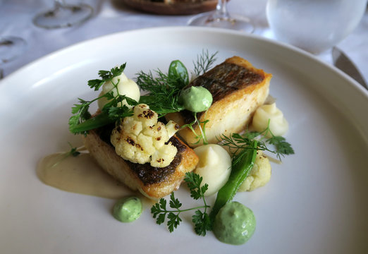 Zanderfilet delikat angerichtet
