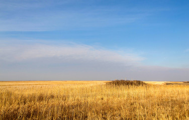 Fields and sky