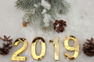 На снегу лежат шишки, хвойная ветка и надпись 2019. © Ирина Угорова