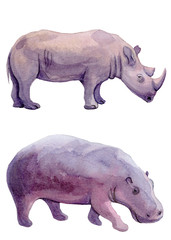 Watercolor illustration of a standing rhino and standing hippo on a white background. Isolated paintings of African animals