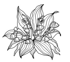 lily-of-the-valley. Coloring. Line drawing