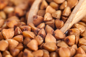 Group of buckwheat groats in a wooden spoon, healthy food