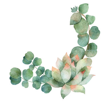 Watercolor card design template with eucalyptus leaves and succulents . Illustration for beautiful design of invitations and greeting cards. Spring or summer flowers with space for your text.