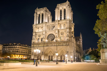 Fototapeta na wymiar Notre Dame de Paris - famous cathedral with night illumination
