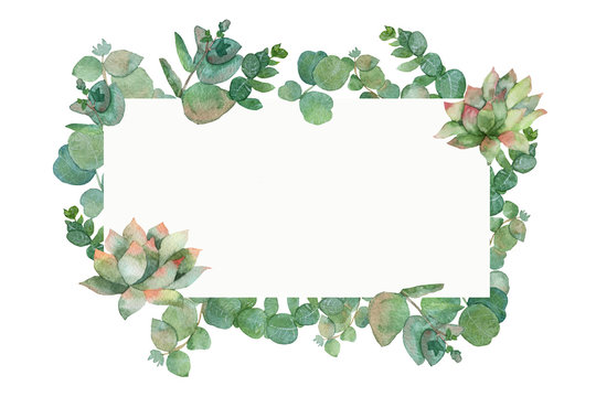 Watercolor green square frame with silver dollar eucalyptus leaves and branches with succulents isolated on white background.
