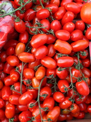 Red  organic tomato on a branch pattern background