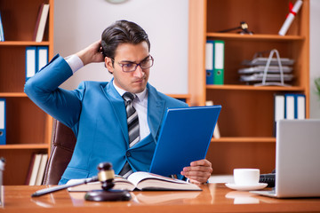 Lawyer working in the office