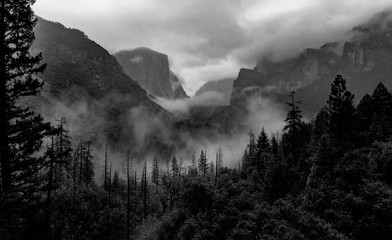 Yosemite National Park with panoramic view at the Yosemite Tunnel View point - Powered by Adobe