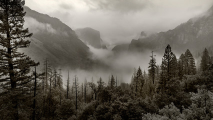 Yosemite National Park with panoramic view at the Yosemite Tunnel View point - 236663030