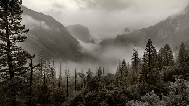 Yosemite National Park with panoramic view at the Yosemite Tunnel View point