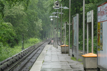 railway station in forest