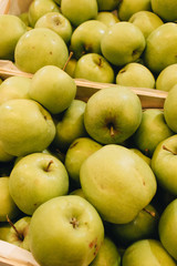 Pile of fresh ripe green apples in boxes at market