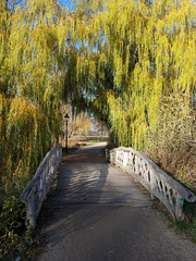 Brücke im Park