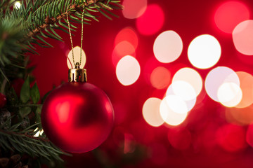 Christmas background, red christmas ball, fir branches