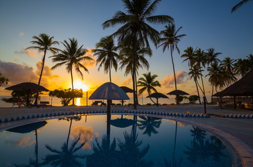 Zanzibar, landscape sea, palms beach