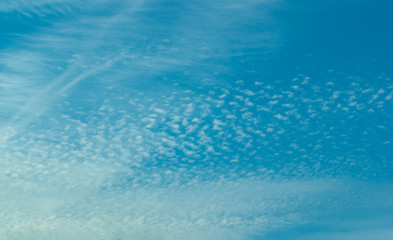 Cloudscape of Small Cirrocumulus Clouds
