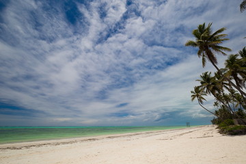 Zanzibar, landscape sea, palms beach