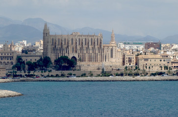 Fototapeta na wymiar Palma Cathedral in Mallorca